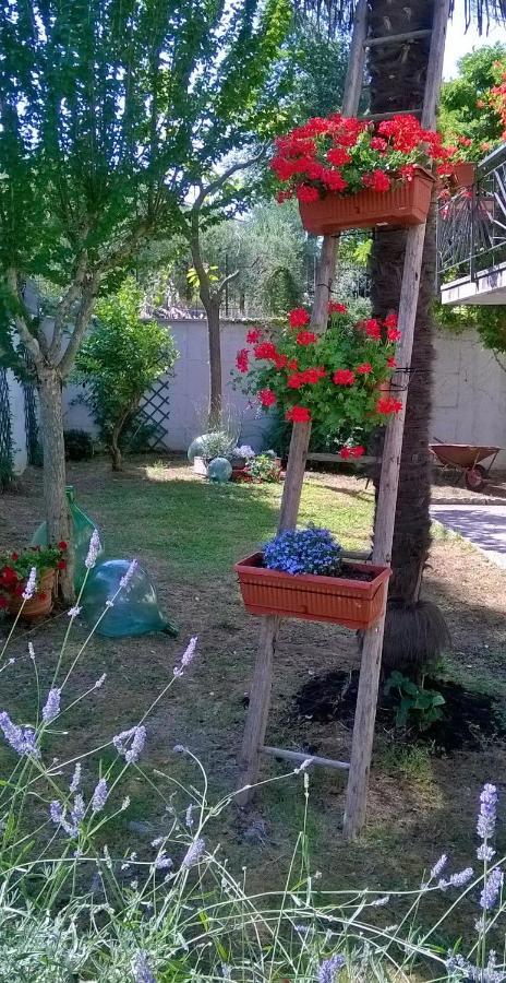 B&B Teranga Montecarotto Esterno foto