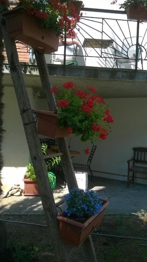 B&B Teranga Montecarotto Esterno foto
